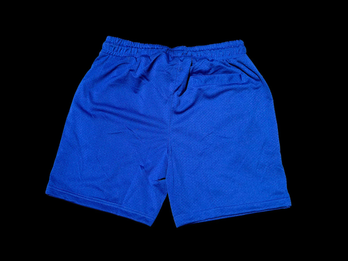 TZUL Knicks Shorts