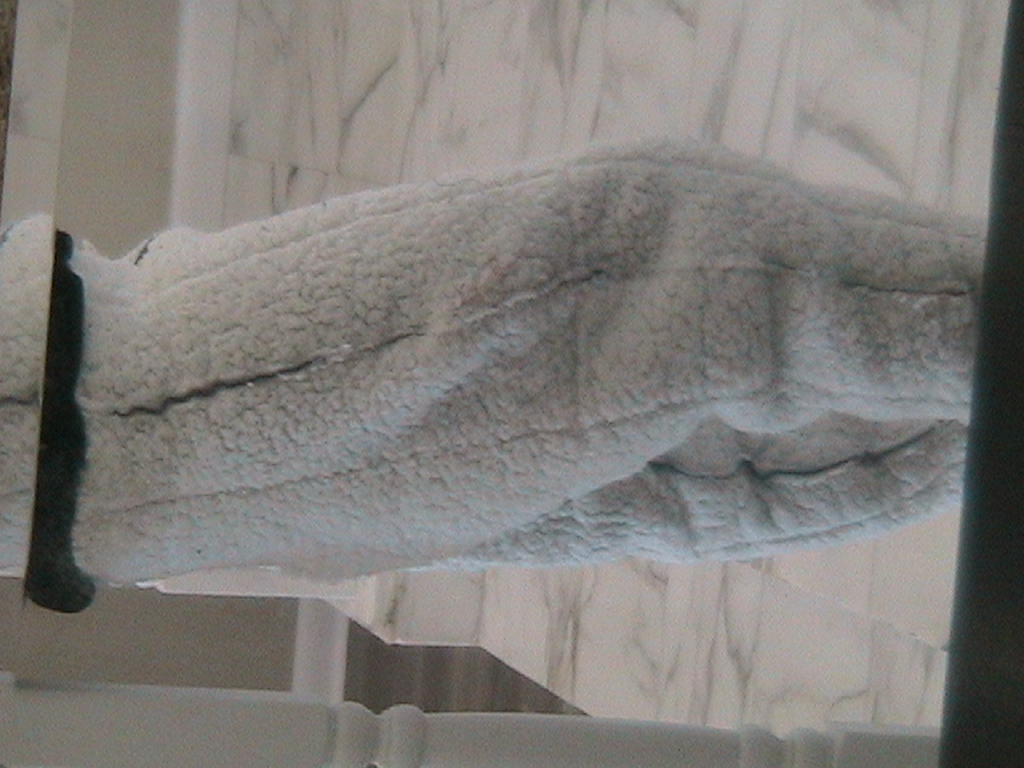 TZUL Cozy Sherpa Pants