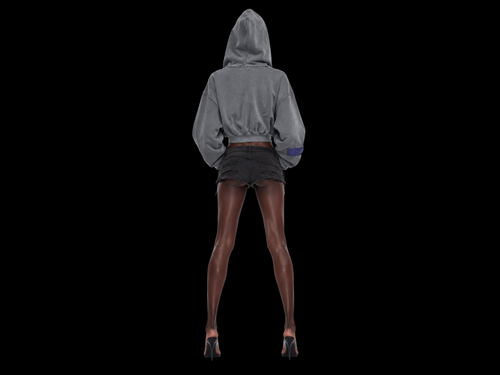 TZUL Cropped Zip Hoodie