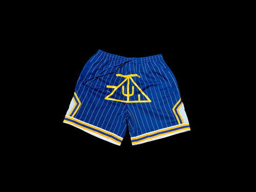 TZUL AI Shorts (Blue)