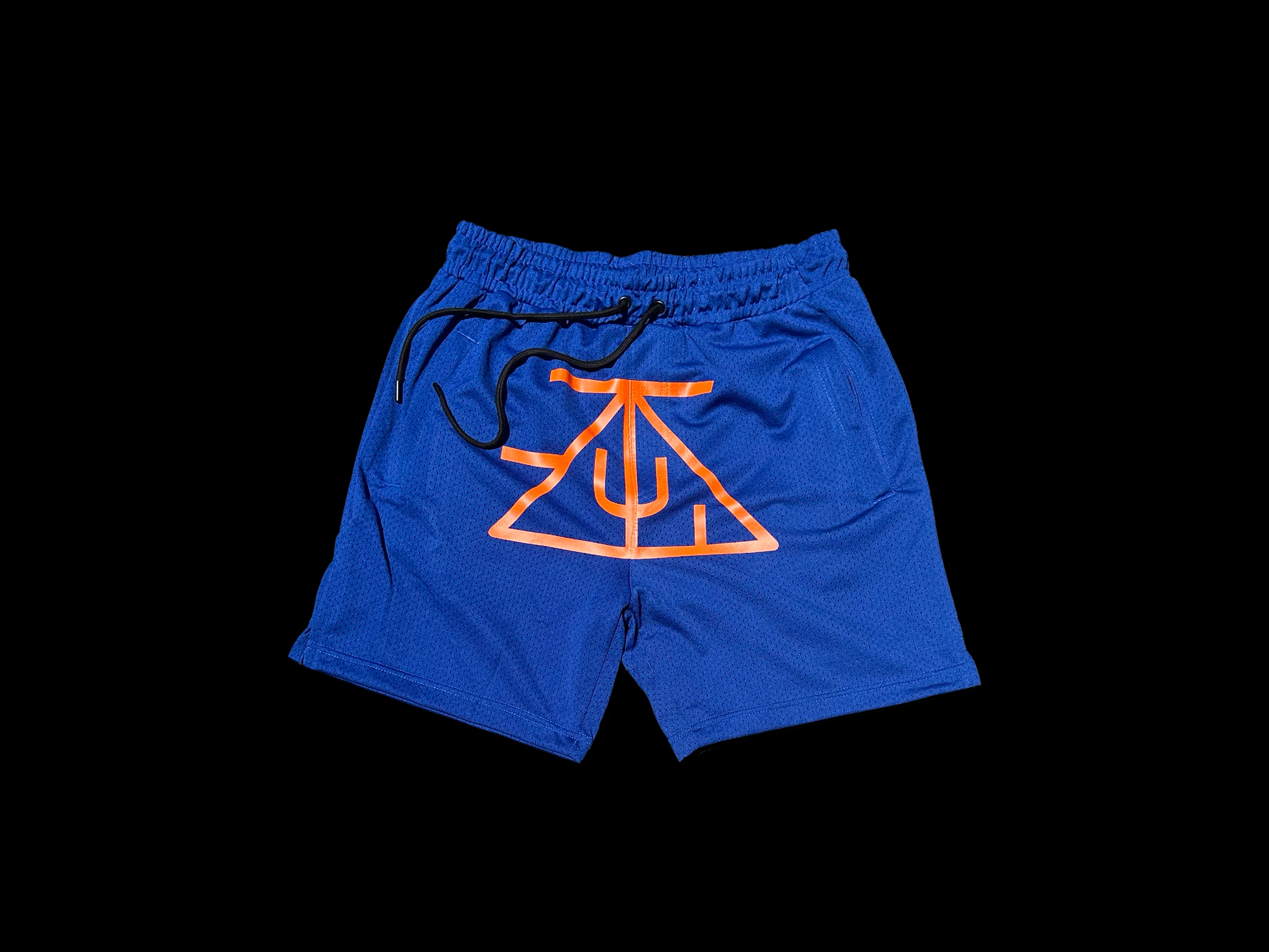 TZUL Knicks Shorts
