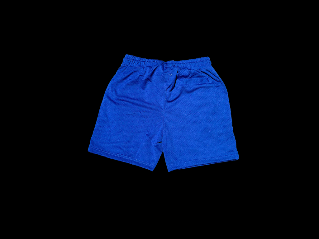 TZUL Knicks Shorts